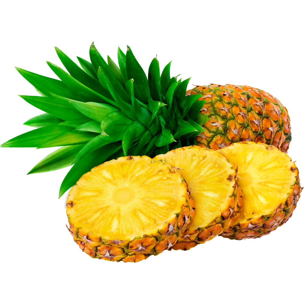 SẢN PHẨM CHẤT LƯỢNG