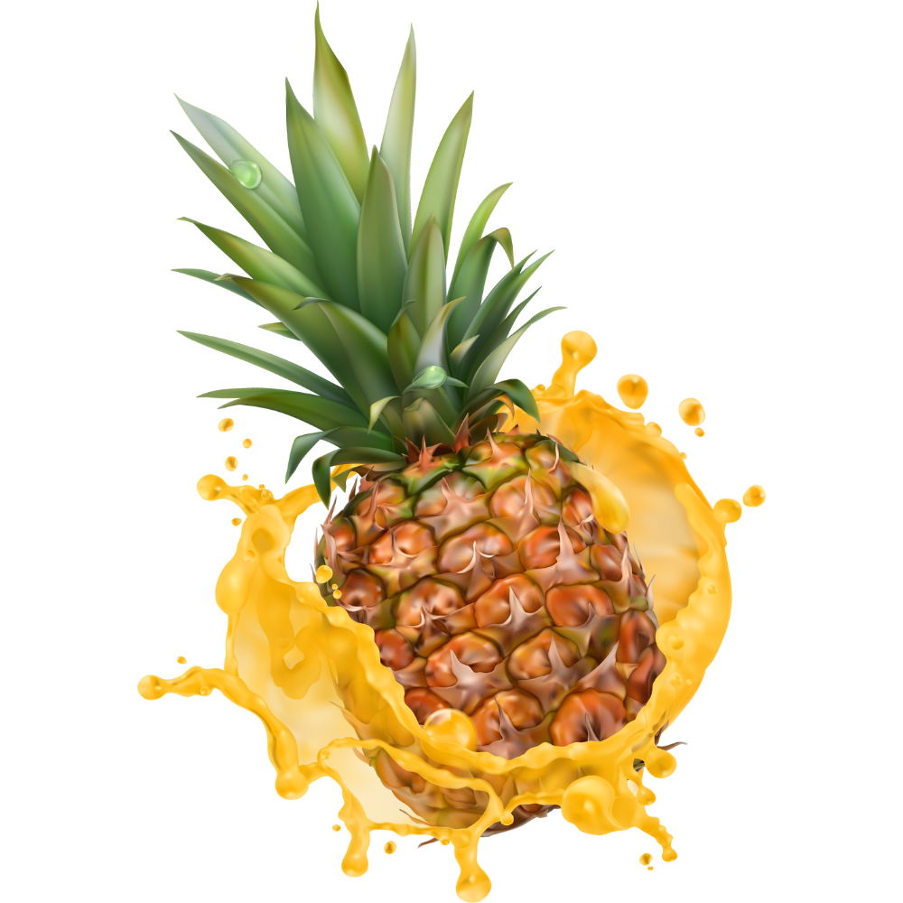 CUNG CẤP QUANH NĂM